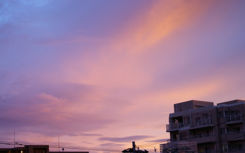 2010.07  sunset.JPG