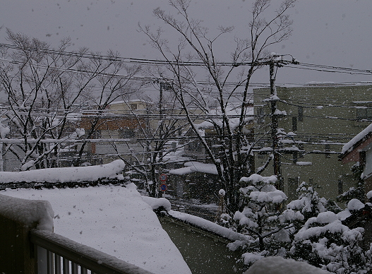 2010.12.25 sekisetsu 3.JPG