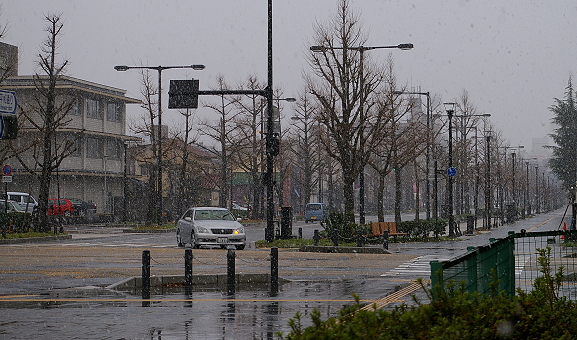 2010.12.24 isobemachi.JPG