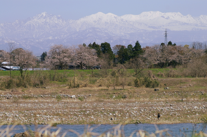 2011.4.17 HANAMI 2.JPG