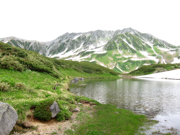 2011.7.18  アルペンルート　7-2.JPG