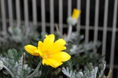 080124_10.jpg