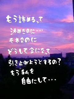ポエム S のブログ記事一覧 奇妙で微妙なキノコ