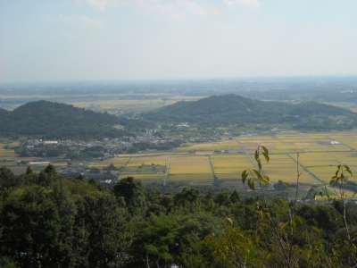 梅林辺りからの景色