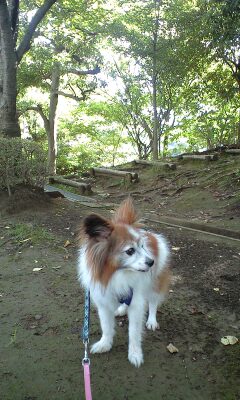 あおがだい公園２０１１．０９.０６