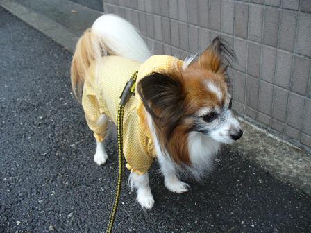 雨降りはさむいなぁ