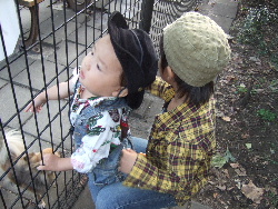 2007_1022 008.jpg