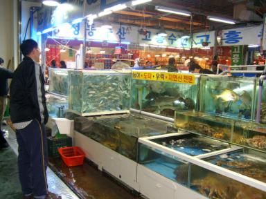 スサンシジャン