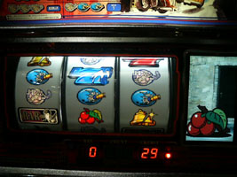 P1000025.JPG