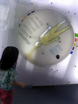 SN3C0361(2).jpg