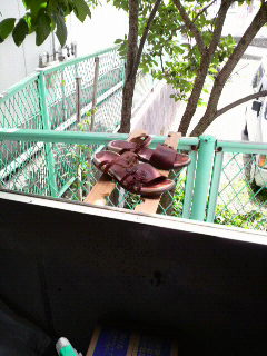 専務さんのサンダル