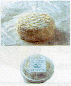 プチ　プレジール