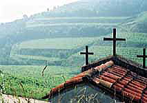 カ　ルガーテの畑