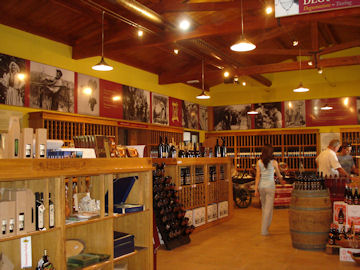 スロベニアのワイナリー１