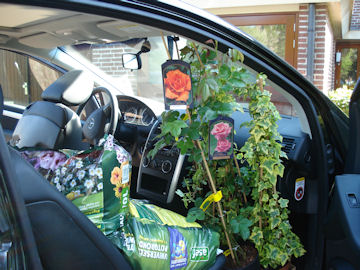 植物買出し後、車の右の座席から。