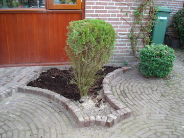 前庭のキッチン前の小さな花壇