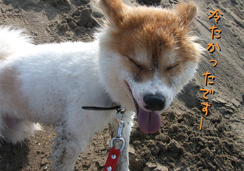 ウヒャ