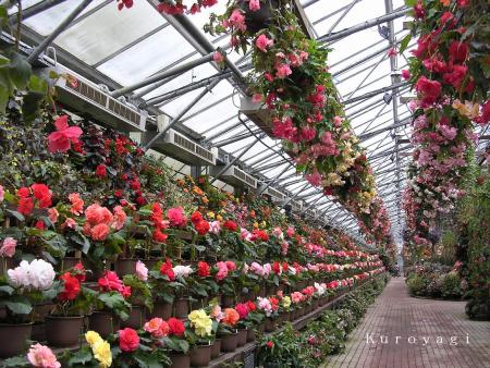 富士国際花園_01