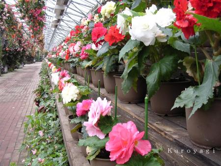 富士国際花園_02