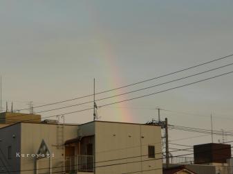 雨上がりの虹。。