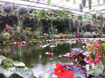 富士国際花園_03