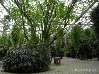 緑に囲まれて。。