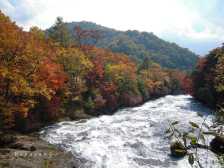 滝上橋から見た竜頭の滝。。