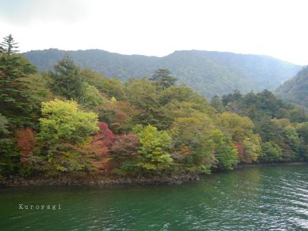 中禅寺湖畔の紅葉。。