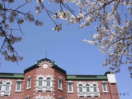 レンガ造りの駅舎と桜、一面の青空。。