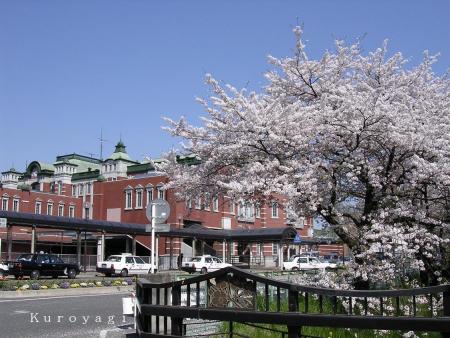 橋の欄干にも桜が。。