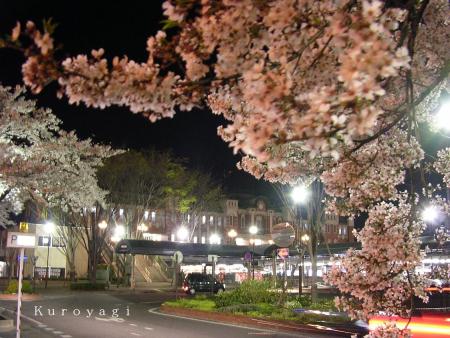 夜桜と深谷駅。。