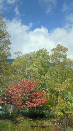 湯ノ湖畔の紅葉。。