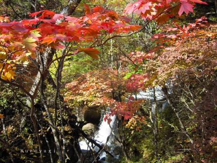 竜頭の滝の紅葉。。