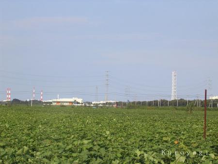 東海村の煙突群