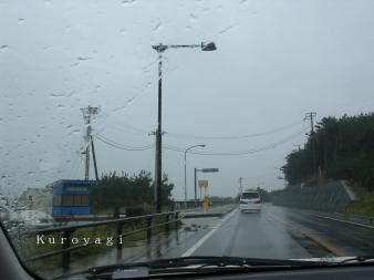 やっぱり雨でした。。