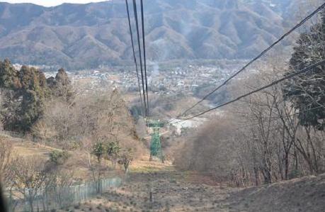 2012.1.10.宝登山、ロウバイ、動物園、D90. 040.jpg