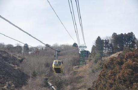 2012.1.10.宝登山、ロウバイ、動物園、D90. 043.jpg