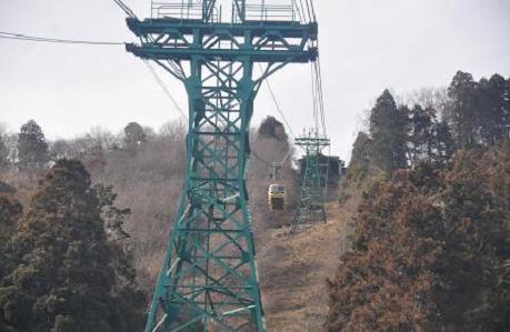 2012.1.10.宝登山、ロウバイ、動物園、D90. 044.jpg