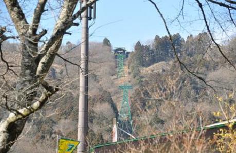 2012.1.10.宝登山、ロウバイ、動物園、D90. 002.jpg