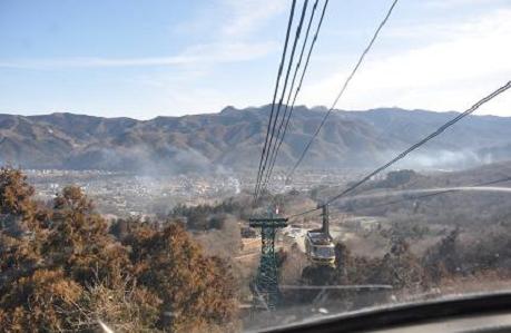 2012.1.10.宝登山、ロウバイ、動物園、D90. 003.jpg