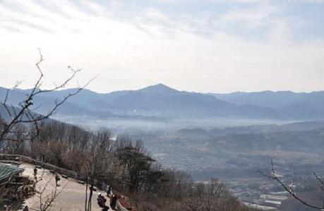 2012.1.10.宝登山、ロウバイ、動物園、D90. 006.jpg