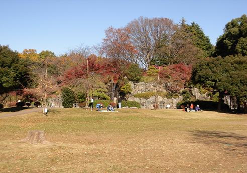 08.11.22.上尾丸山公園、紅葉、 027.jpg