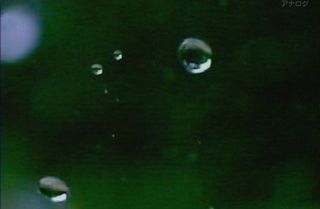 raindrop1