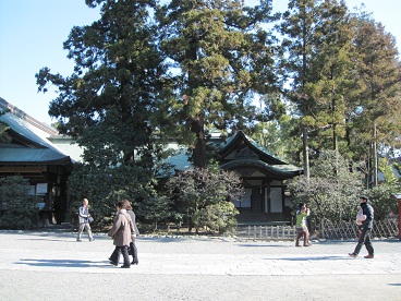 鶴岡八幡宮11.jpg