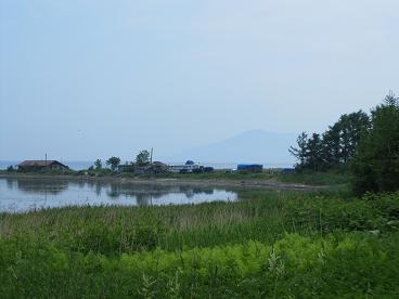 湧別町水芭蕉群生地５.JPG