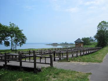 湧別町水芭蕉群生地３.JPG