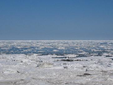 流氷３月２５日３.JPG