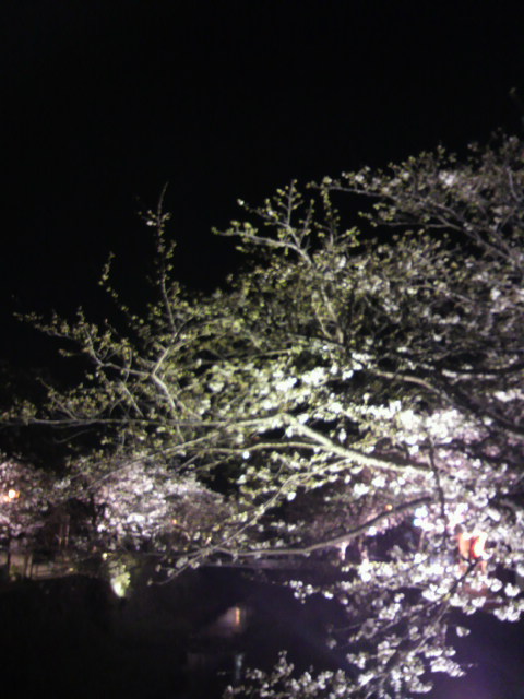2011-04-05 13:19:17