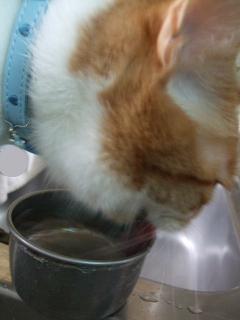 やっぱお湯だよね～