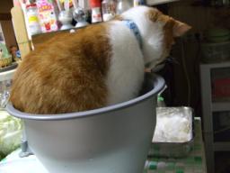 こんなところまで・・・